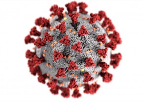novelcoronavirus-optimized.jpg