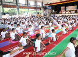 3rd International Day of Yoga Celebrations 2017 -  (10).jpg