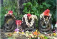ನಾಡಿಗೆ ದೊಡ್ಡದು ನಾಗನ(ರ) ಪಂಚಮಿ - Article by Raee Rajkumar Moodbidri