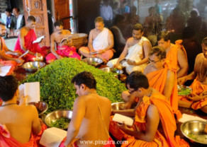 Tulashi Archane-1.jpg