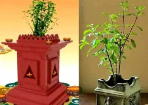 WhatsApp Image 2025-10-31 at 15.45.27.jpeg