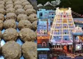 download (3) (2).jpg