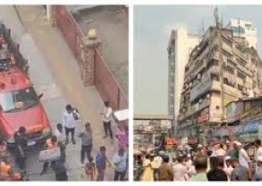 download (6) (5).jpg