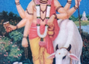 WhatsApp Image 2025-11-28 at 14.58.03 (1).jpeg